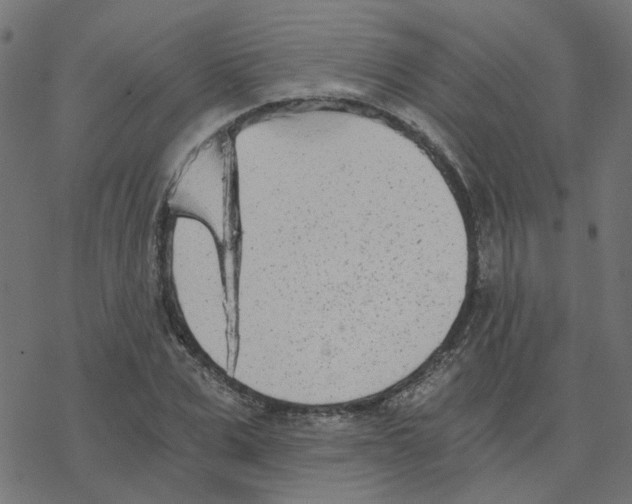 X0000078260975200612011650