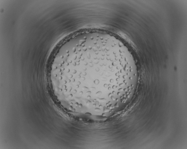 X0000078260976200612011650