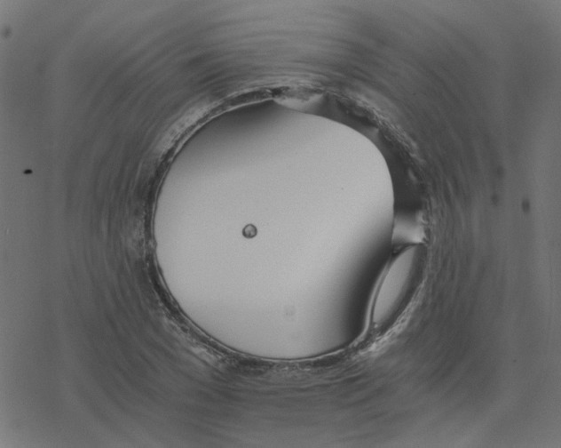 X0000078260977200612011650