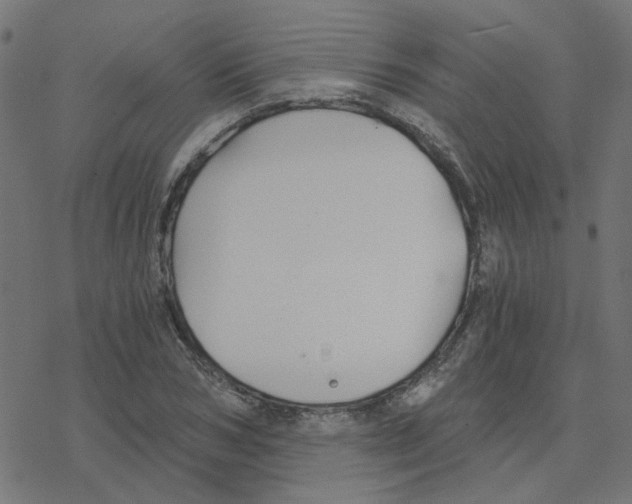 X0000078260978200612011650