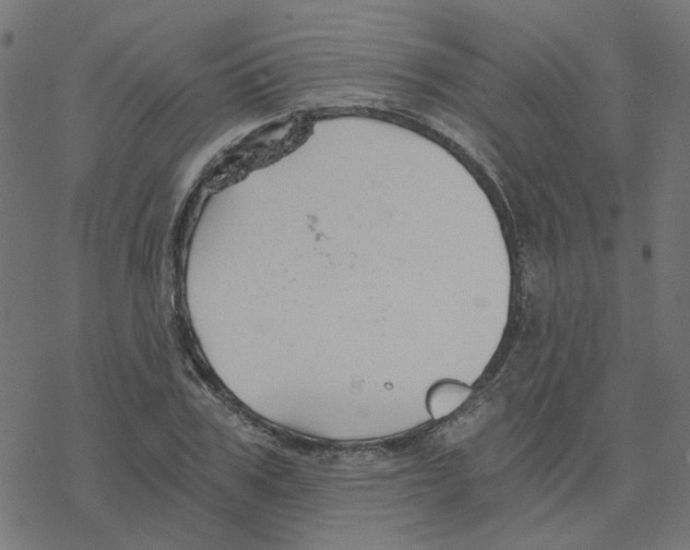 X0000078260979200612011650