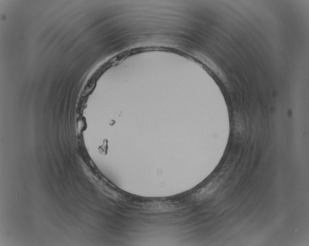 X0000078260980200612011650