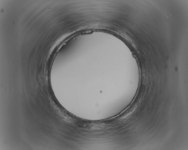 X0000078260981200612011650