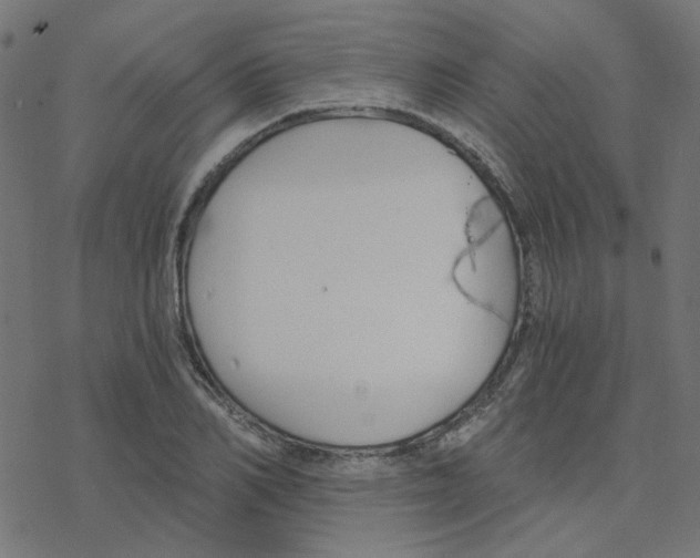 X0000078260982200612011650