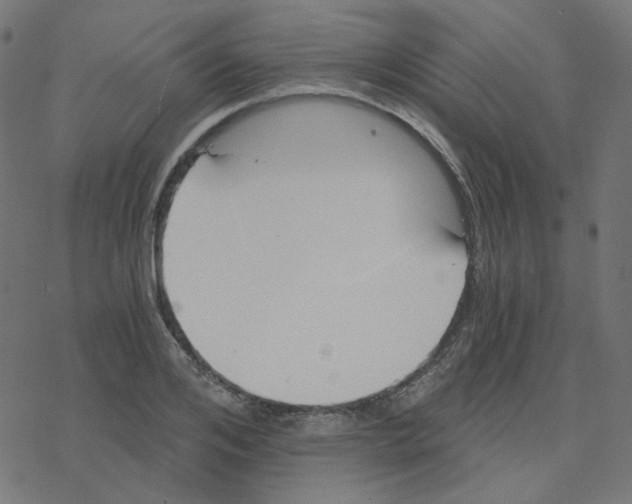 X0000078260984200612011650