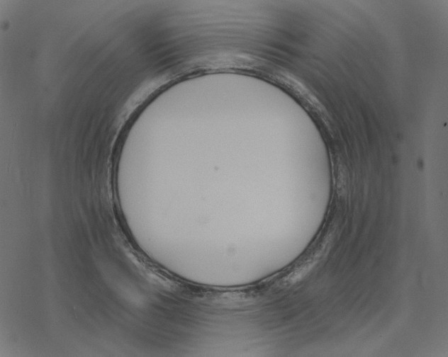 X0000078260986200612011650