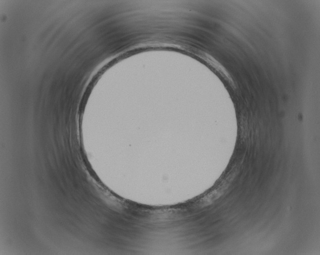 X0000078260988200612011650