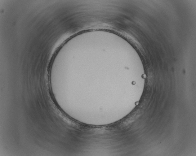 X0000078260990200612011650