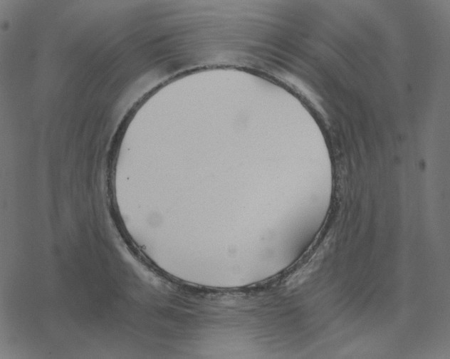 X0000078260991200612011650