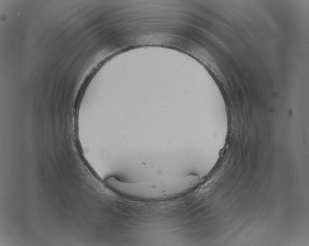 X0000078260992200612011650