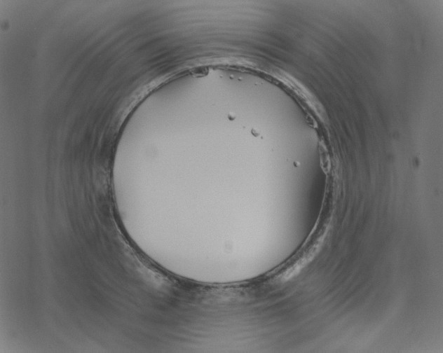 X0000078260993200612011650