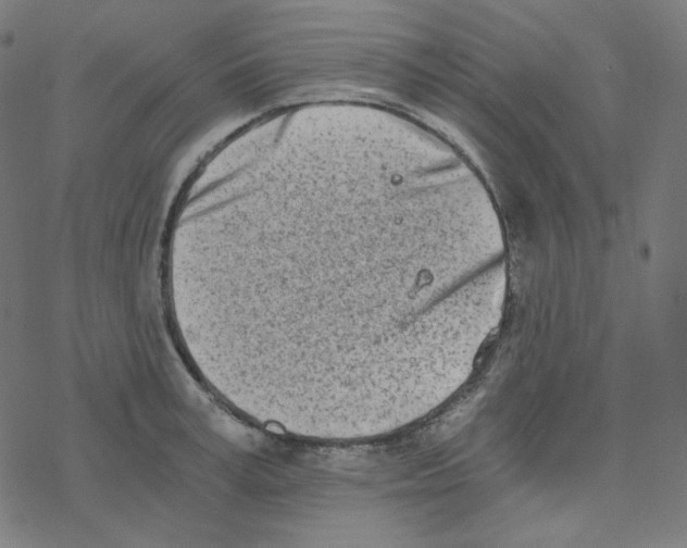 X0000078260995200612011650