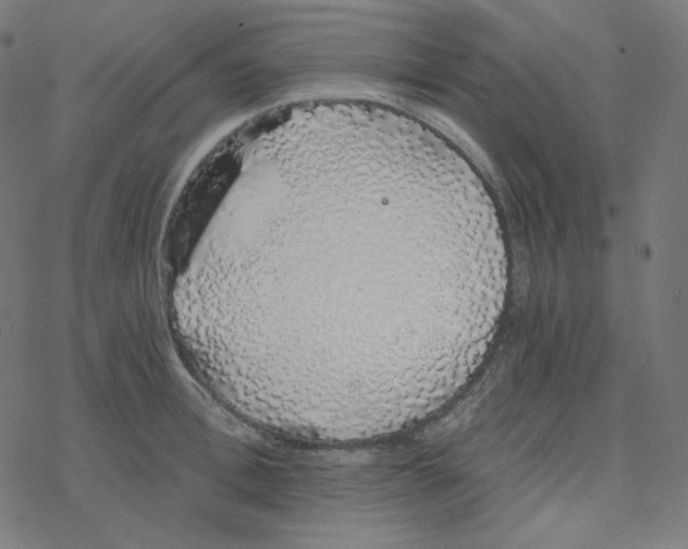 X0000078260996200612011650