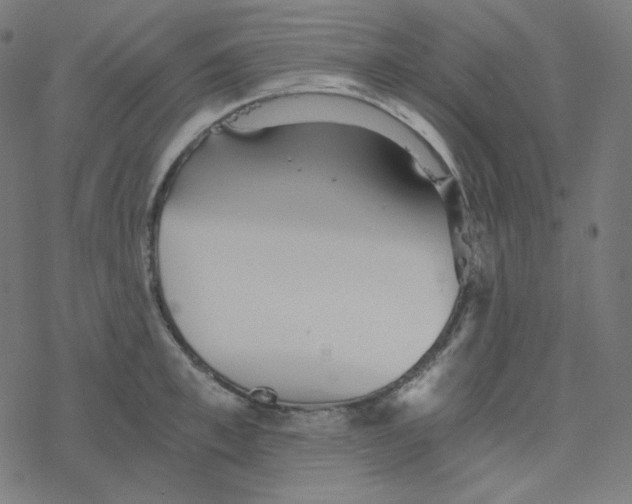 X0000078260997200612011650