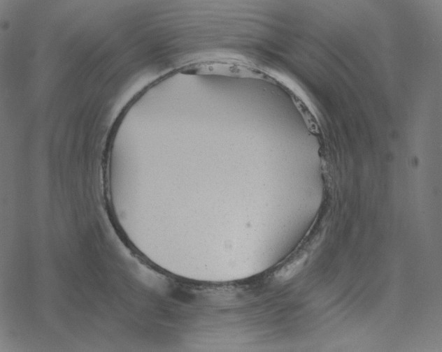 X0000078260999200612011650