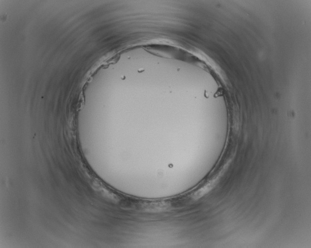 X0000078261001200612011650