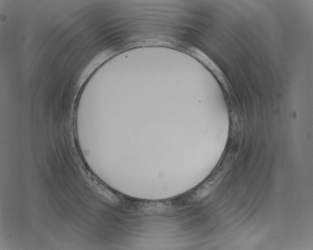 X0000078261002200612011650