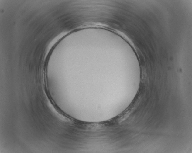 X0000078261003200612011650