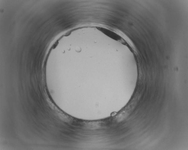 X0000078261004200612011650