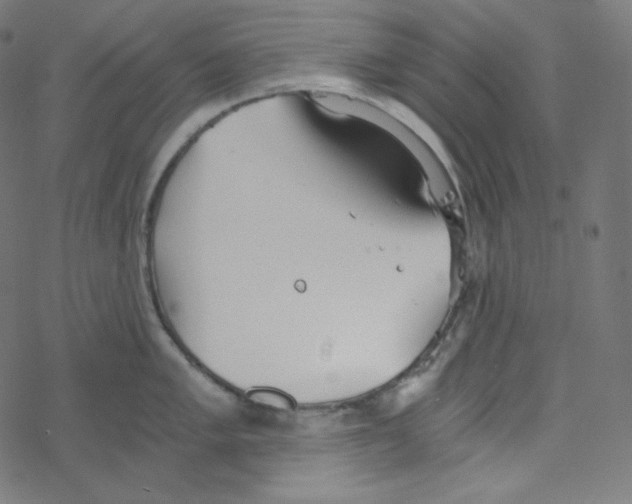 X0000078261005200612011650