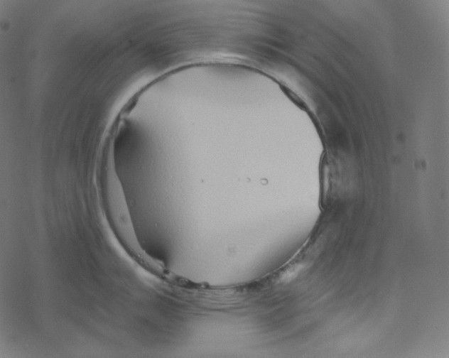 X0000078261007200612011650