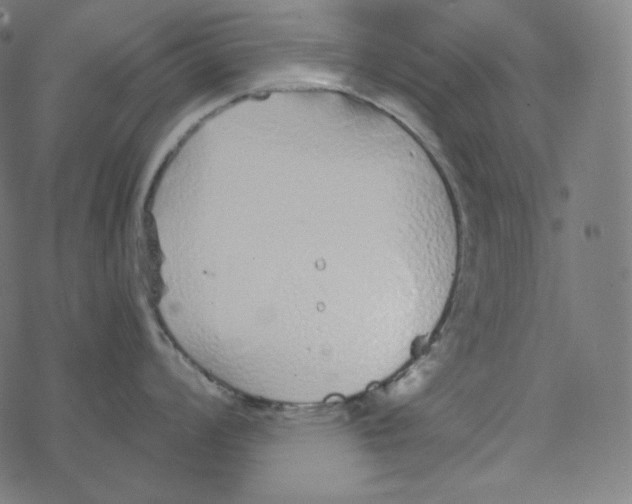 X0000078261008200612011650