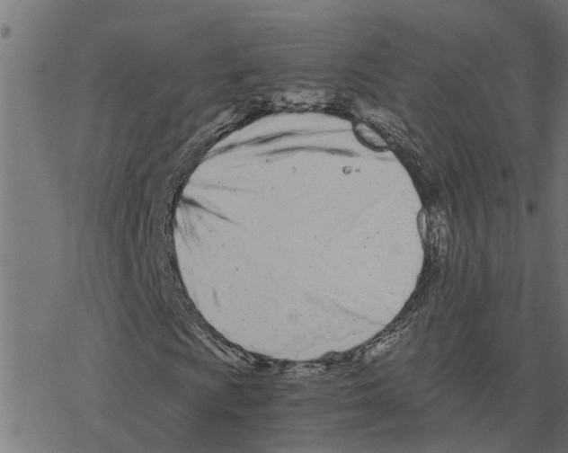 X0000078261009200612011649