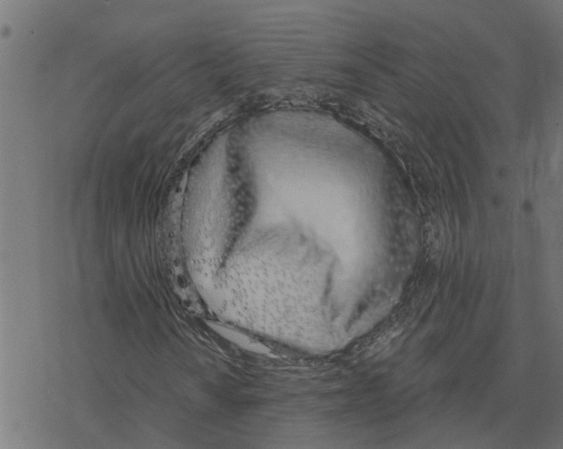 X0000078261010200612011649