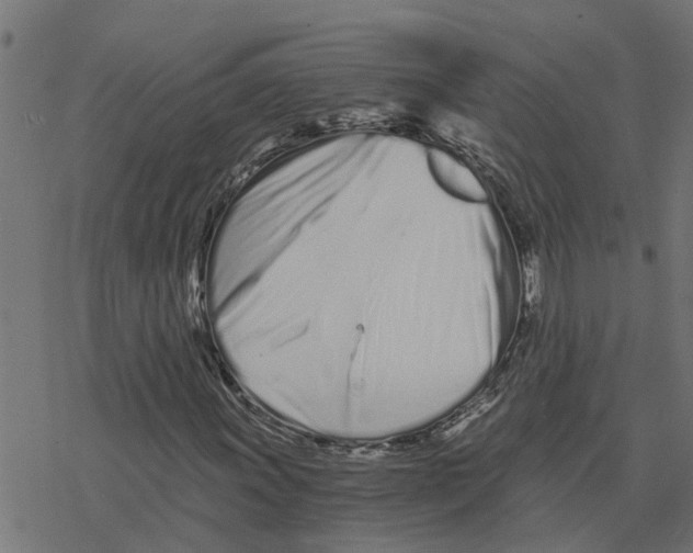 X0000078261011200612011649