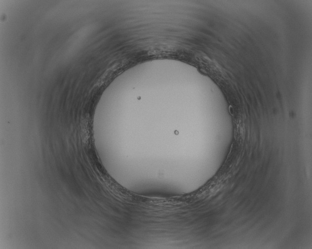 X0000078261012200612011649