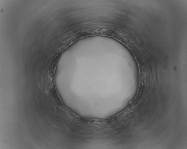 X0000078261013200612011649