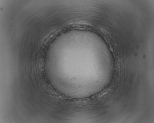 X0000078261014200612011649