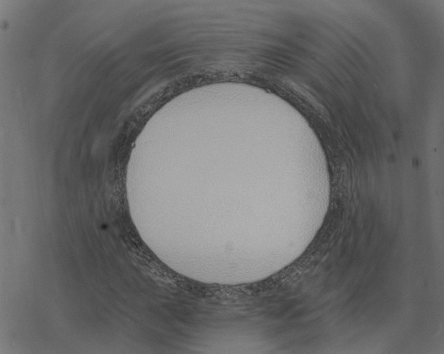 X0000078261015200612011649