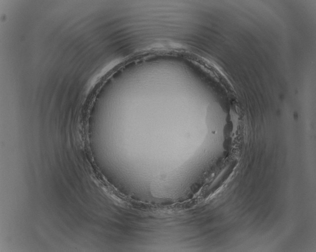 X0000078261018200612011649