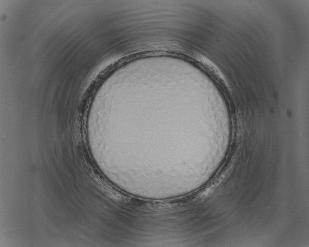 X0000078261019200612011649