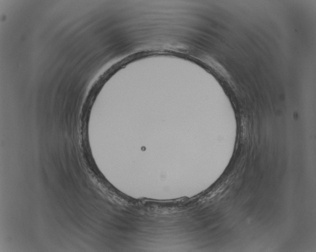 X0000078261020200612011649