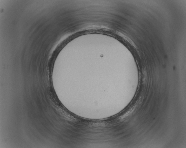 X0000078261021200612011649