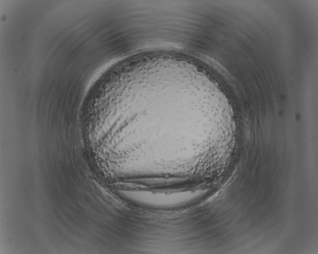 X0000078261022200612011649