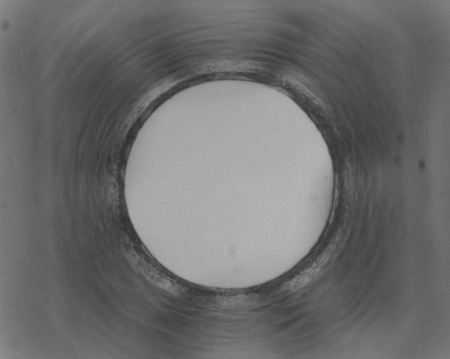 X0000078261025200612011649