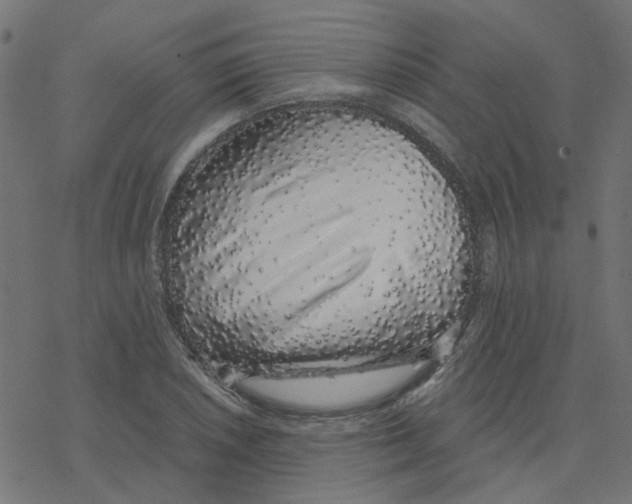 X0000078261026200612011649