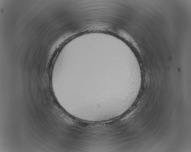 X0000078261027200612011649