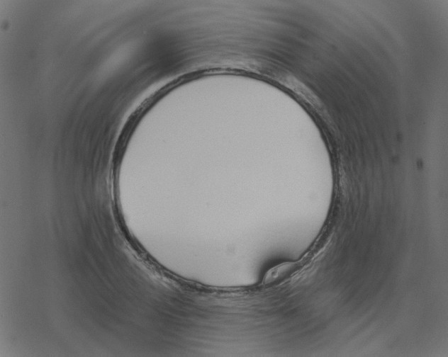 X0000078261028200612011649