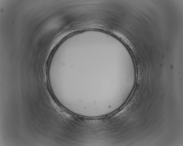 X0000078261031200612011649