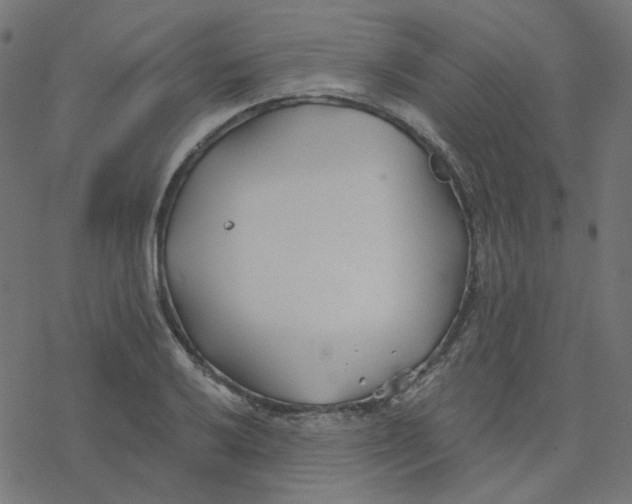 X0000078261032200612011649