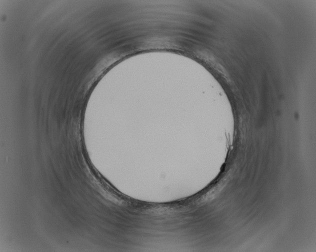 X0000078261033200612011649