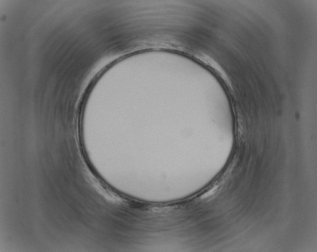 X0000078261035200612011649