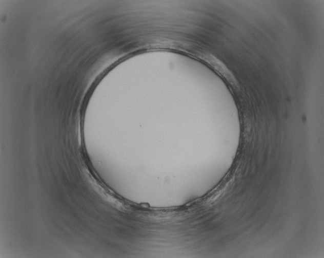 X0000078261036200612011649