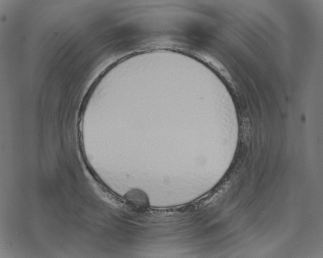 X0000078261039200612011649