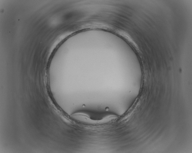 X0000078261040200612011649