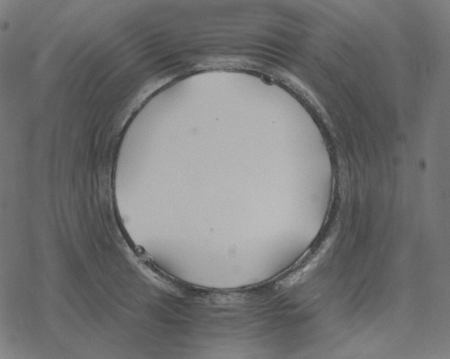 X0000078261041200612011649